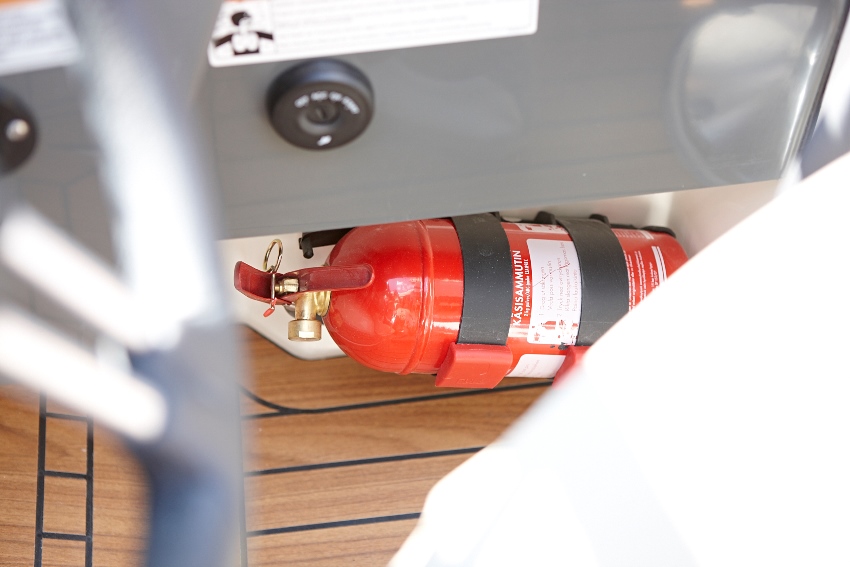 Fire extinguisher, portable