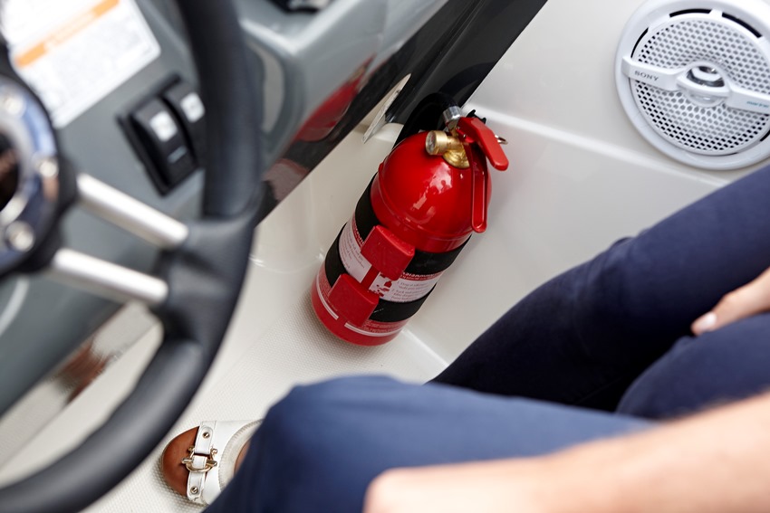 Fire extinguisher, portable